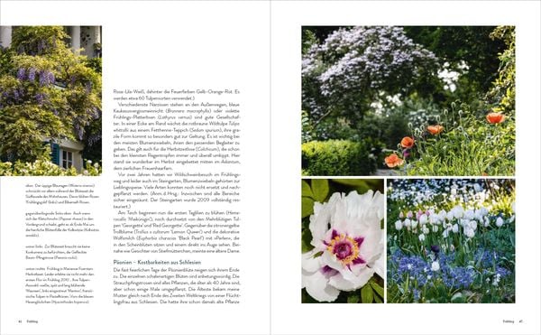Produktbild: Der Garten meines Vaters Karl Foerster