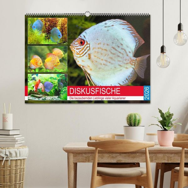 Produktbild: Diskusfische. Die bezaubernden Lieblinge vieler Aquarianer (Wandkalender 2026 DIN A2 quer), CALVENDO Monatskalender