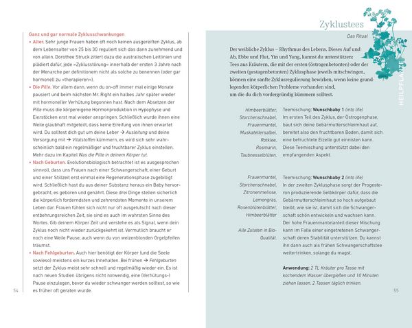 Produktbild: Schwanger werden