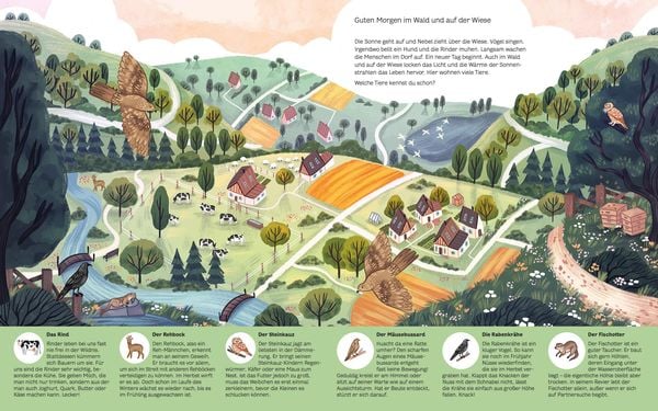 Produktbild: Kleine Geheimnisse der Natur - Wald und Wiese