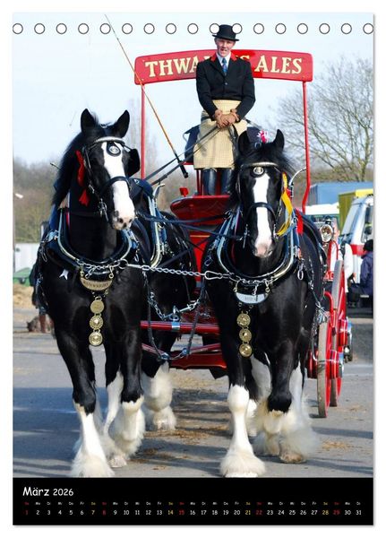 Produktbild: Shire Horse - Geschm&uuml;ckte Riesen (Tischkalender 2026 DIN A5 hoch), CALVENDO Monatskalender