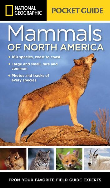 Produktbild: National Geographic Pocket Guide to the Mammals of North America