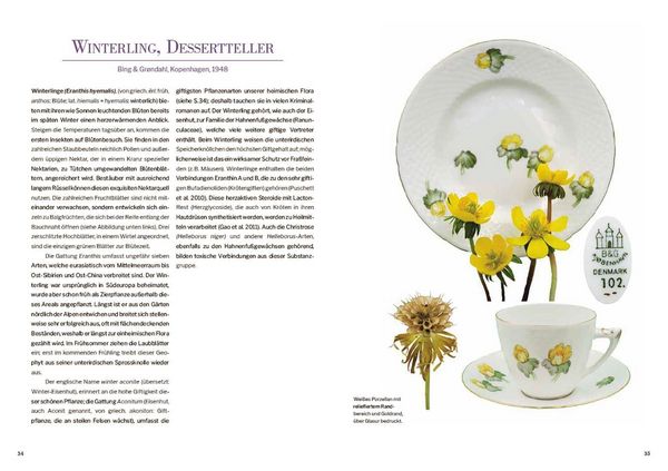 Produktbild: Das Herbarium floraler Dekore