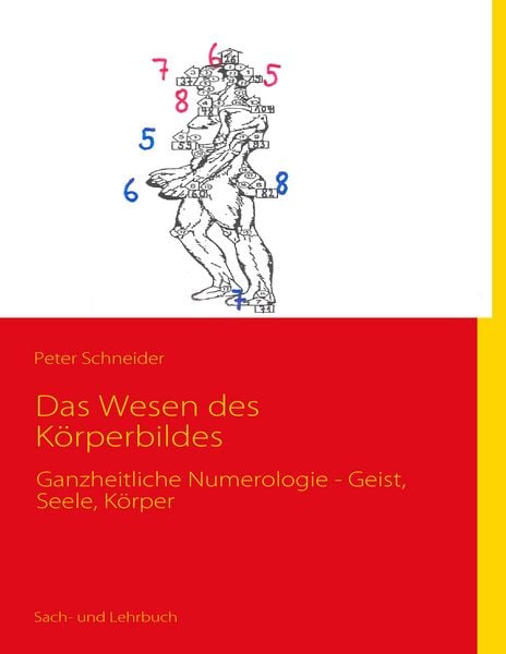 Produktbild: Das Wesen des K&ouml;rperbildes
