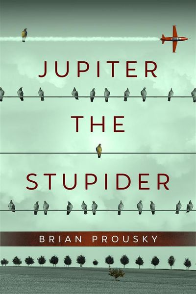 Produktbild: Jupiter the Stupider