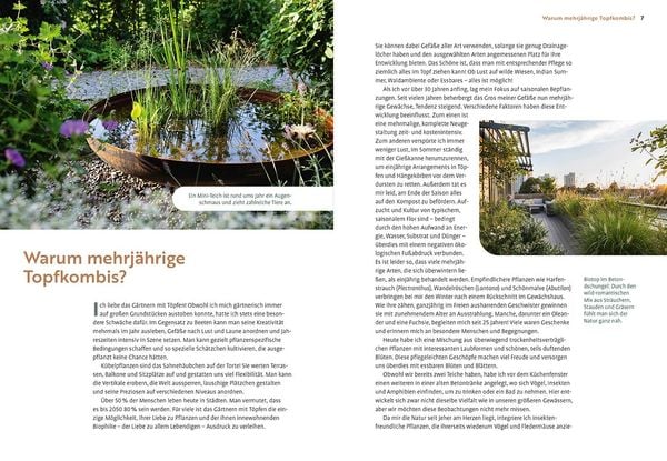 Mein Garten wächst im Topf