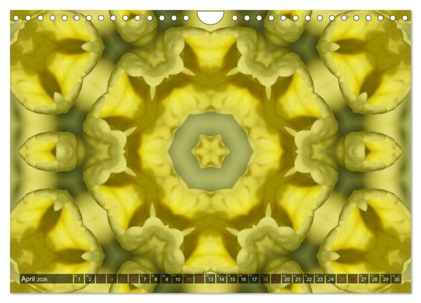 Produktbild: Natur im Kaleidoskop (Wandkalender 2026 DIN A4 quer), CALVENDO Monatskalender