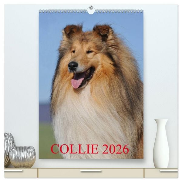 Produktbild: Collie 2026 (hochwertiger Premium Wandkalender 2026 DIN A2 hoch), Kunstdruck in Hochglanz