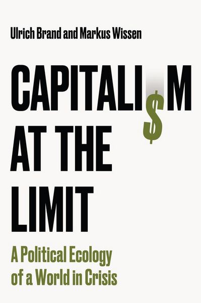 Produktbild: Capitalism at the Limit