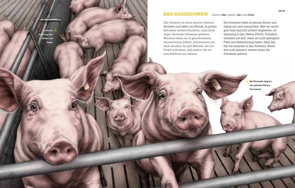 Produktbild: Das wahre Leben der Bauernhoftiere
