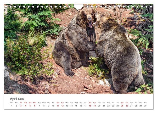 Produktbild: Yukon Wild (Wall Calendar 2026 DIN A4 landscape), CALVENDO 12 Month Wall Calendar