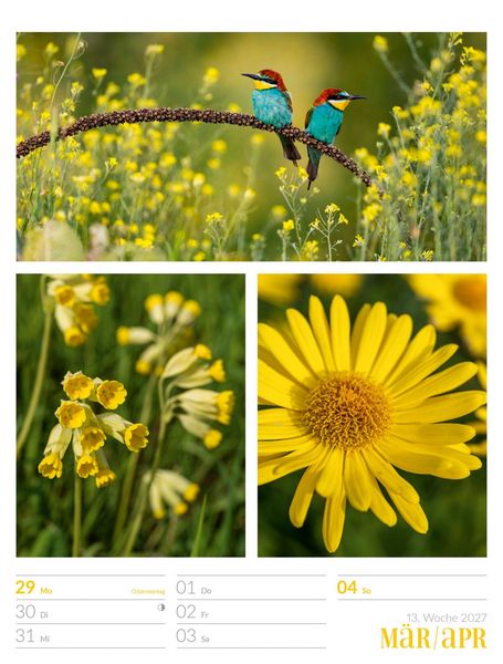 Produktbild: Farben der Natur Wochenplaner Kalender 2027