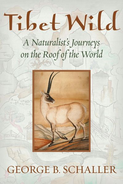 Produktbild: Tibet Wild