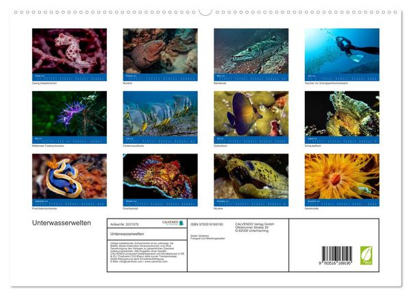 Produktbild: Unterwasserwelten (hochwertiger Premium Wandkalender 2026 DIN A2 quer), Kunstdruck in Hochglanz