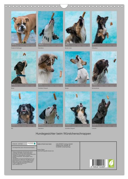 Produktbild: Hundegesichter beim W&uuml;rstchenschnappen (Wandkalender 2026 DIN A3 hoch), CALVENDO Monatskalender