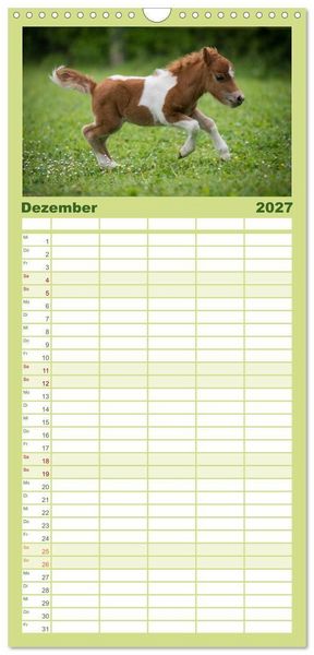 Produktbild: Familienplaner 2027 - Ponys. Herzensbrecher mit Grips mit 5 Spalten (Wandkalender, 21 x 45 cm) CALVENDO