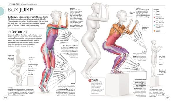 Produktbild: HIIT - Die Anatomie verstehen