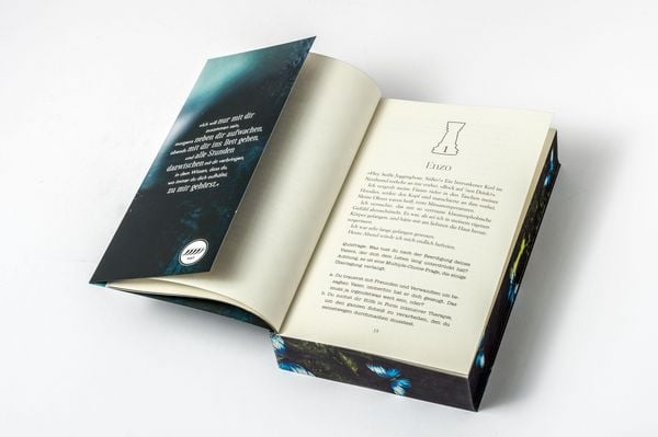 Produktbild: Fallen Rook
