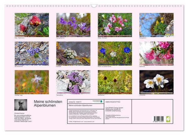 Produktbild: Meine sch&ouml;nsten Alpenblumen (Wandkalender 2026 DIN A2 quer), CALVENDO Monatskalender