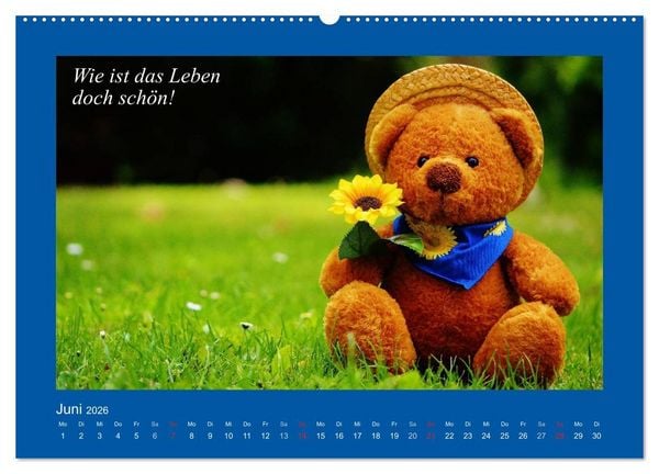 Produktbild: Sommer im Teddy-Land. B&auml;r und Freunde (Wandkalender 2026 DIN A2 quer), CALVENDO Monatskalender