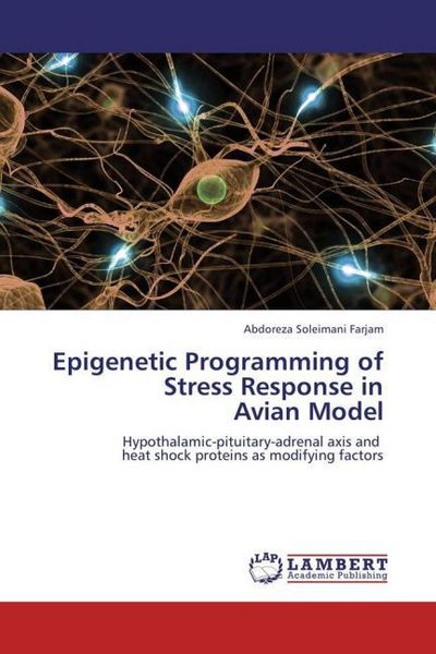 Produktbild: Soleimani Farjam, A: Epigenetic Programming of Stress Respon