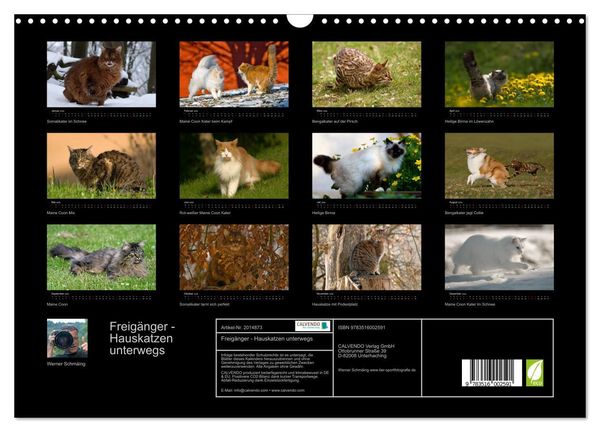 Produktbild: Freig&auml;nger - Hauskatzen unterwegs (Wandkalender 2026 DIN A3 quer), CALVENDO Monatskalender