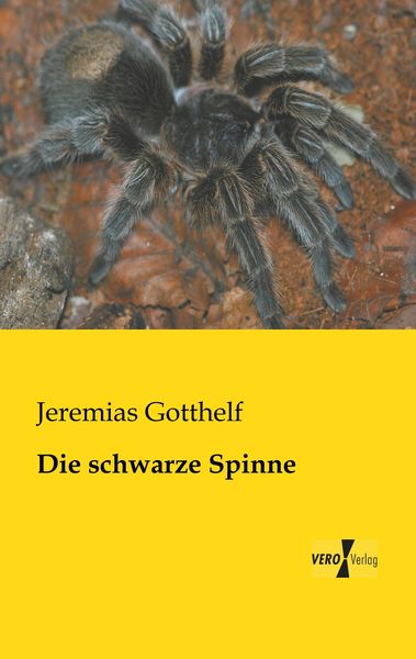 Die schwarze Spinne