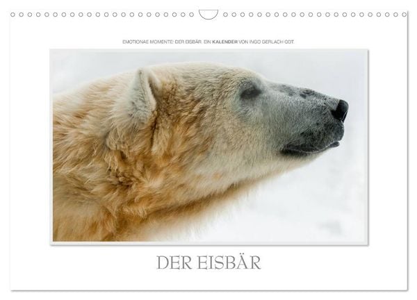 Produktbild: Emotionale Momente: Der Eisb&auml;r. (Wandkalender 2026 DIN A3 quer), CALVENDO Monatskalender