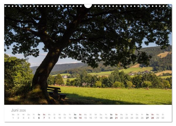 Produktbild: Wundersch&ouml;ne B&auml;ume im Sauerland (Wandkalender 2026 DIN A3 quer), CALVENDO Monatskalender