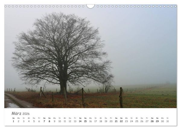 Produktbild: Wald - bezaubernde W&auml;lder (Wandkalender 2026 DIN A3 quer), CALVENDO Monatskalender