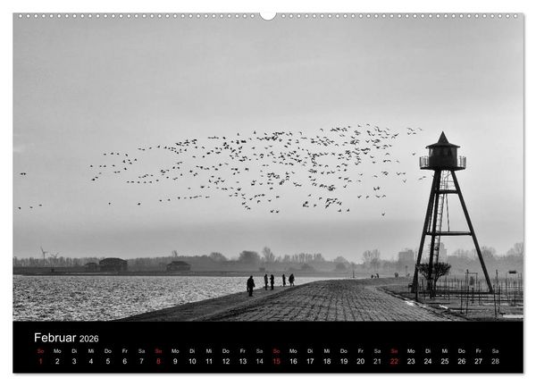 Produktbild: Ost-Friesische Schwarz-Wei&szlig;-Ansichten (Wandkalender 2026 DIN A2 quer), CALVENDO Monatskalender