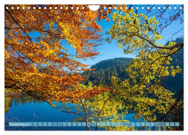 Produktbild: Nationalpark Schwarzwald &ndash; abwechslungsreiche Landschaften und urbane Impressionen (Wandkalender 2026 DIN A4 quer), CALVENDO Monatskalender