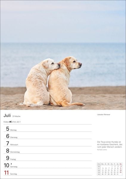 Produktbild: Hunde Wochenplaner 2027 - 53 faszinierende Fotografien