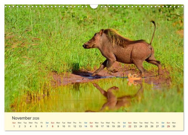 Produktbild: Wonderful Kenya (Wall Calendar 2026 DIN A3 landscape), CALVENDO 12 Month Wall Calendar