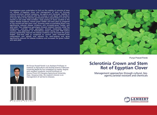 Produktbild: Sclerotinia Crown and Stem Rot of Egyptian Clover