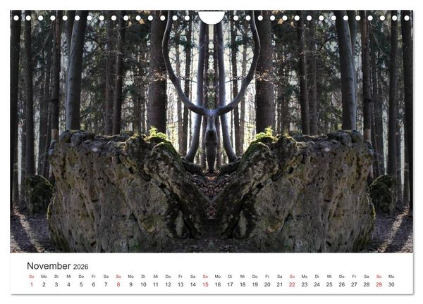 Produktbild: Spiegelwelten - Natur anders sehen (Wandkalender 2026 DIN A4 quer), CALVENDO Monatskalender