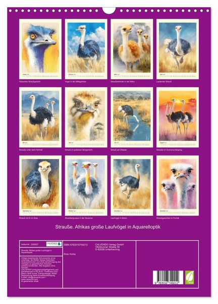 Produktbild: Strau&szlig;e. Afrikas gro&szlig;e Laufv&ouml;gel in Aquarelloptik (Wandkalender 2027 DIN A3 hoch), CALVENDO Monatskalender