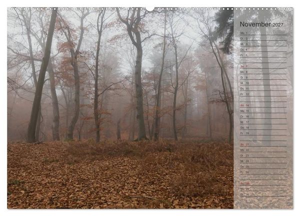 Produktbild: Unser Wald - Magische Sichten in norddeutsche W&auml;lder / Geburtstagskalender (hochwertiger Premium Wandkalender 2027 DIN A2 quer), Kunstdruck in Hochglanz