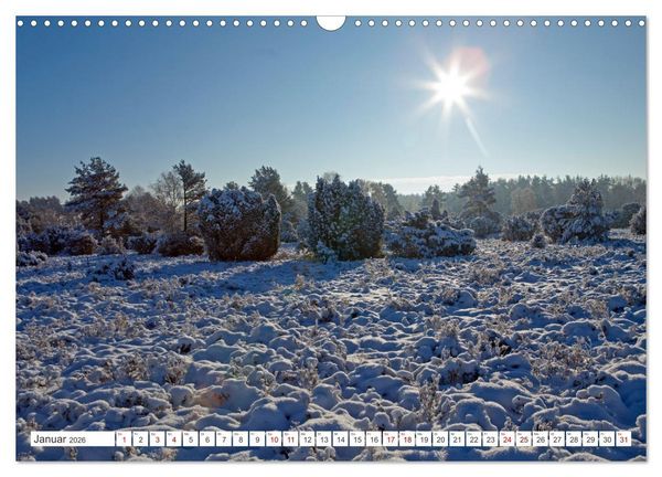 Produktbild: Die L&uuml;neburger Heide - Ausflugsziel im Norden (Wandkalender 2026 DIN A3 quer), CALVENDO Monatskalender