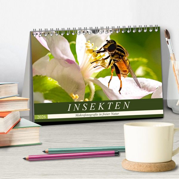 Produktbild: INSEKTEN - Makrofotografie in freier Natur (Tischkalender 2026 DIN A5 quer), CALVENDO Monatskalender