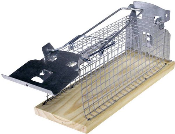 Produktbild: Swissinno Mouse Classic Lebendfalle 1St.