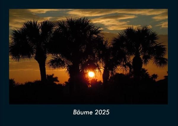 Produktbild: B&auml;ume 2025 Fotokalender DIN A4