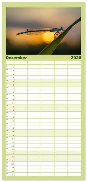 Produktbild: Familienplaner 2026 - Naturwunder Libellen mit 5 Spalten (Wandkalender, 21 x 45 cm) CALVENDO