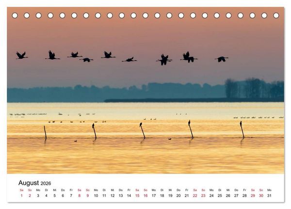 Produktbild: Zug der Kraniche (Tischkalender 2026 DIN A5 quer), CALVENDO Monatskalender