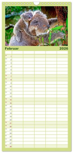 Produktbild: Familienplaner 2026 - Koala - kleiner Teddy mit 5 Spalten (Wandkalender, 21 x 45 cm) CALVENDO