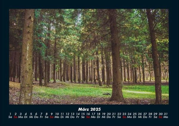 Produktbild: B&auml;ume 2025 Fotokalender DIN A4