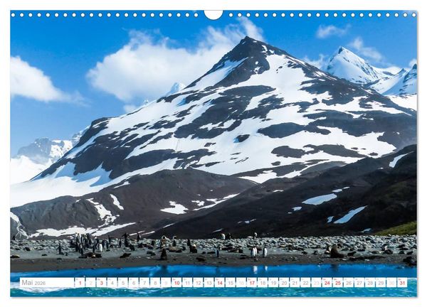 Produktbild: Antarktis - Das Reich der Pinguine (Wandkalender 2026 DIN A3 quer), CALVENDO Monatskalender