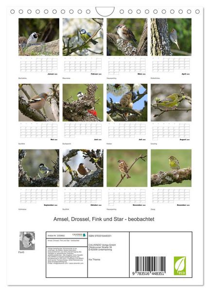 Produktbild: Amsel, Drossel, Fink und Star - beobachtet (Wandkalender 2026 DIN A4 hoch), CALVENDO Monatskalender