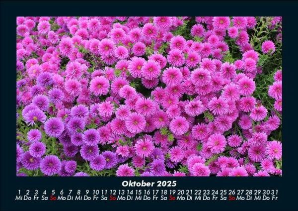 Produktbild: Blumentr&auml;ume 2025 Fotokalender DIN A5