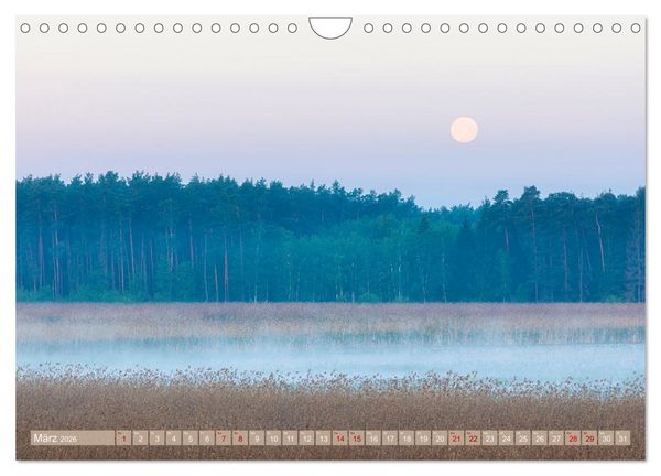 Produktbild: Stille Naturmomente (Wandkalender 2026 DIN A4 quer), CALVENDO Monatskalender